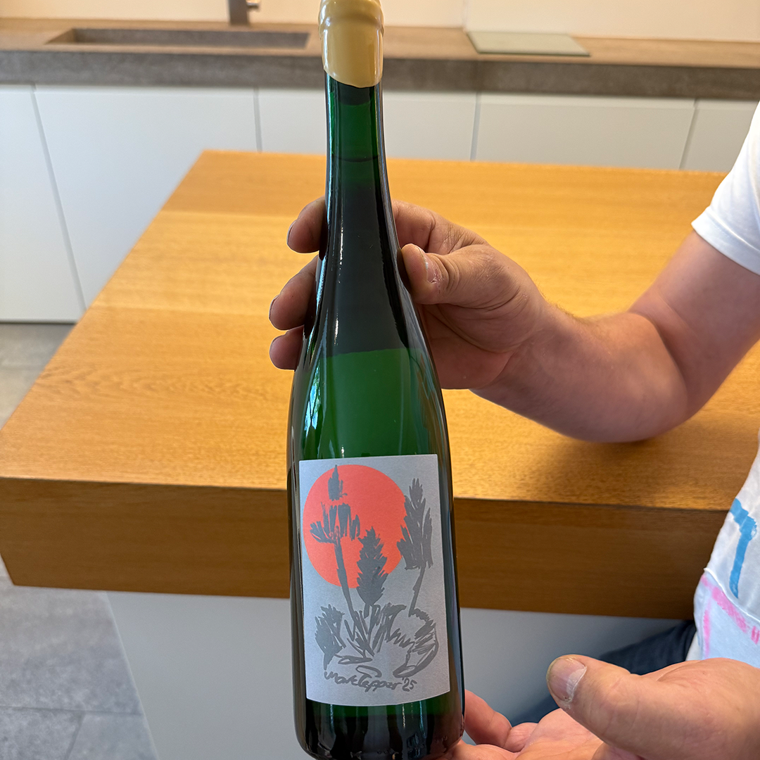 Concept Riesling Volkacher Ratsherr Riesling 2024