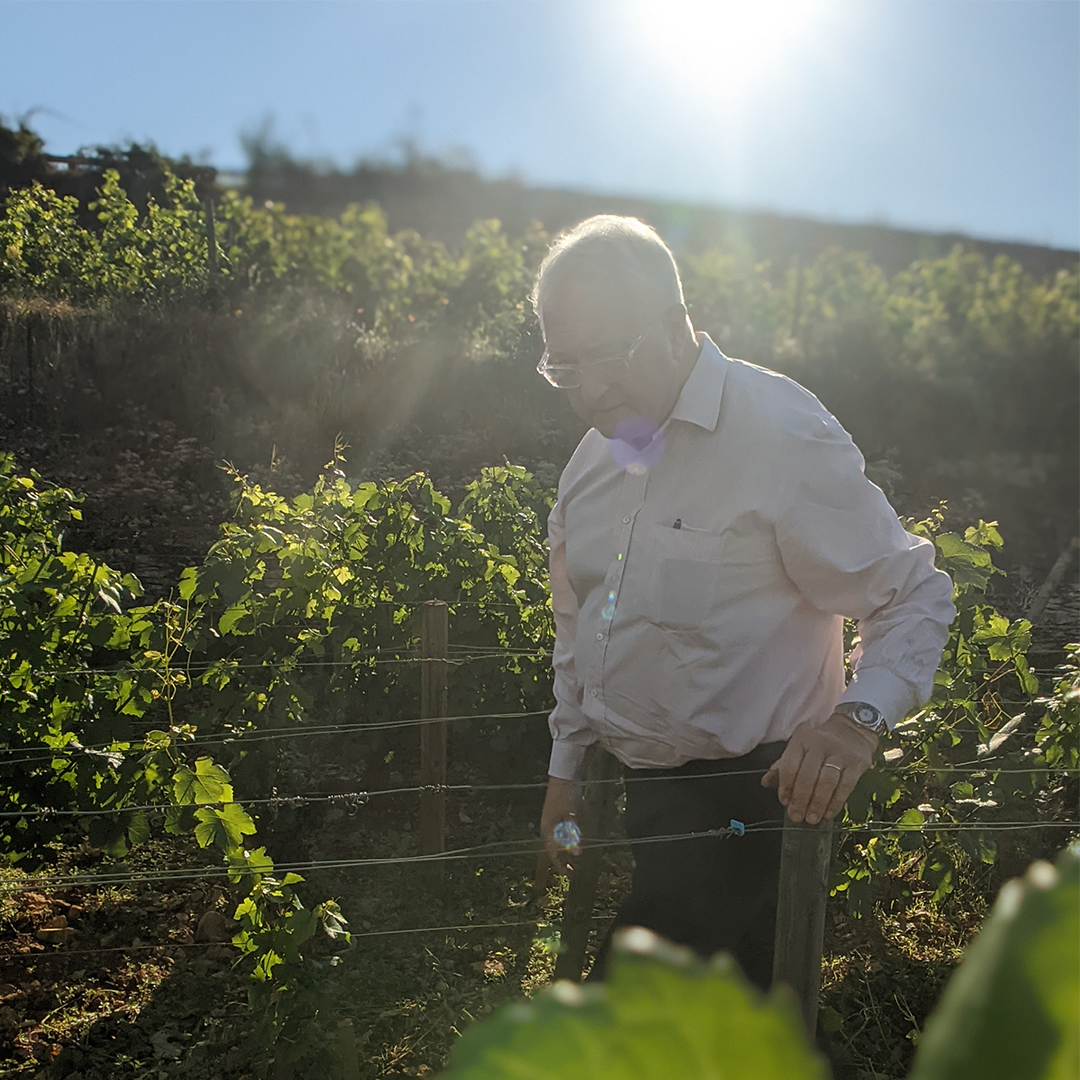 Price-Value-Maschinen aus dem Burgund