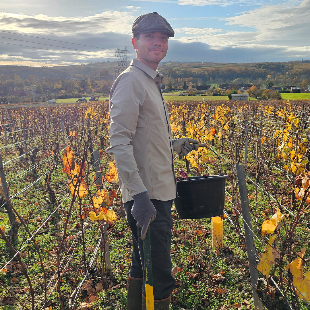 Chablis abseits aller Konventionen