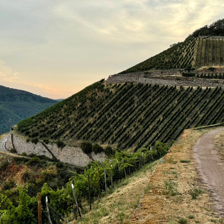 Der Rüdesheimer Berg (von Max Kaindl)