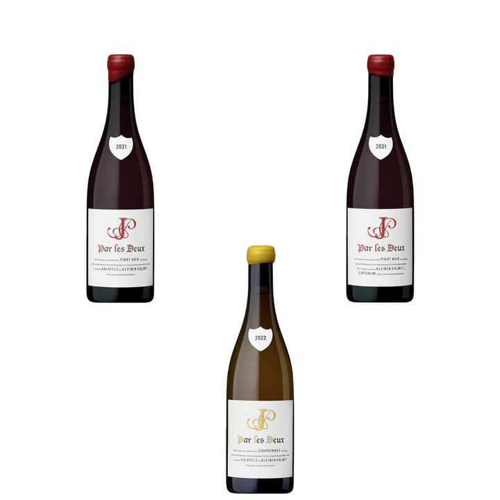 Freundschaftsprojekt an der Kalmit