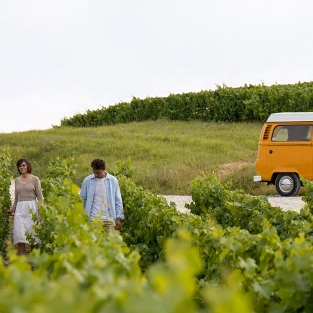 Das Talent aus der Vitryat