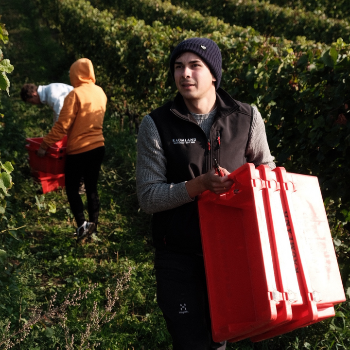 Sektlese 2024 bei Raumland
