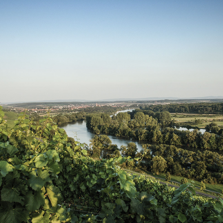 Jahrgangsbericht 2023