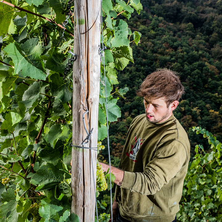 Kabinette aus besten Lagen