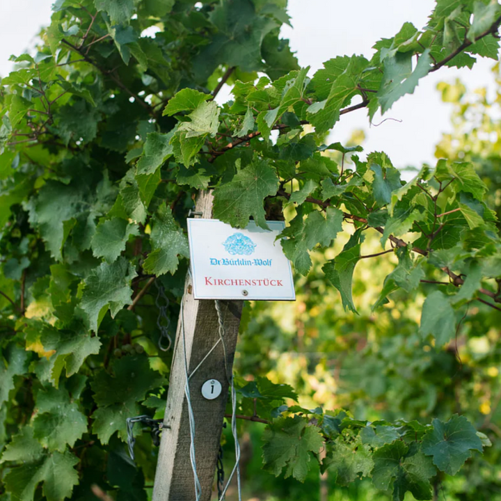 Dr. Bürklin-Wolf Grand Crus 2021