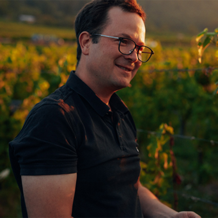 Die Burgunder-Spitze Frankens