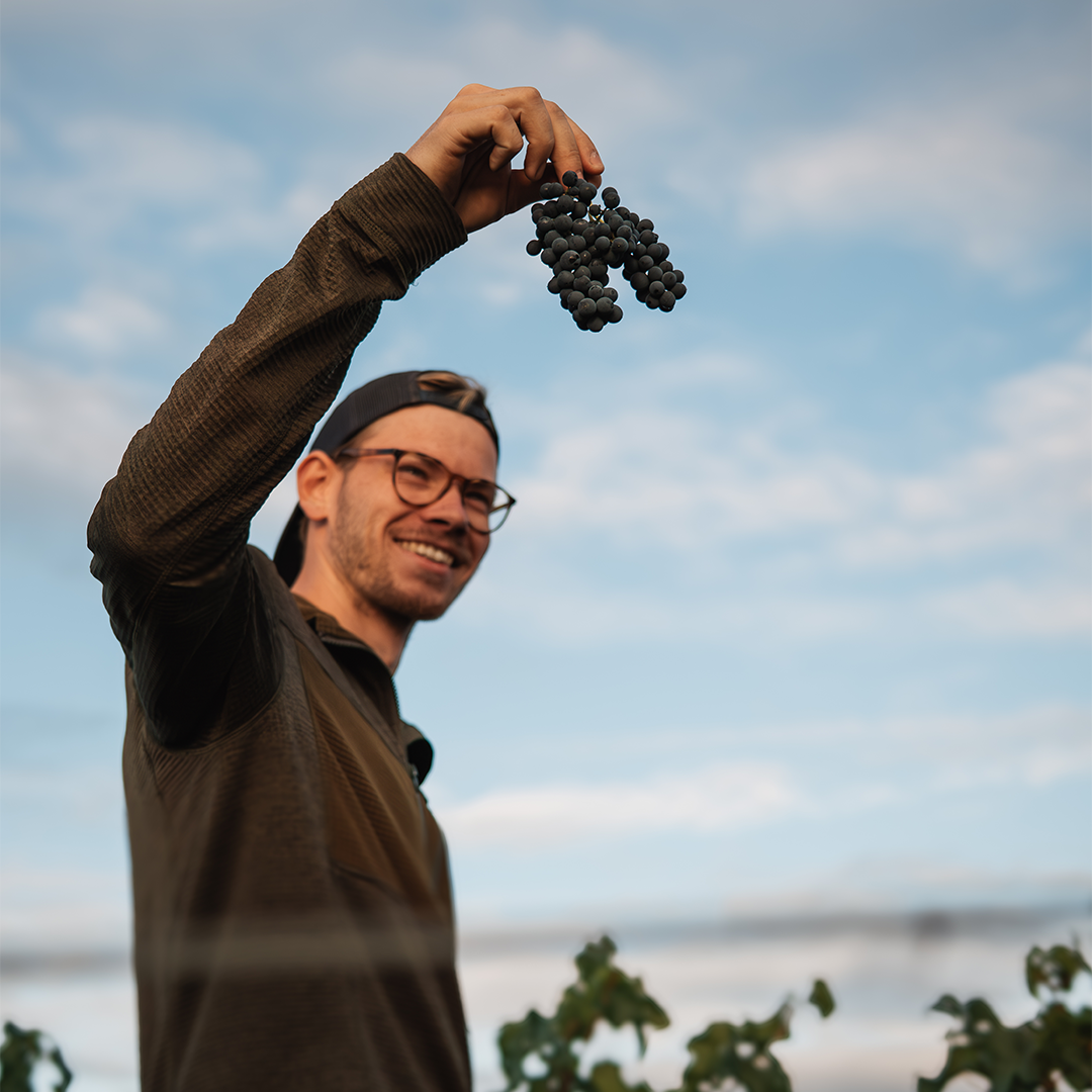 Rising Star am Pfälzer Burgunderhimmel