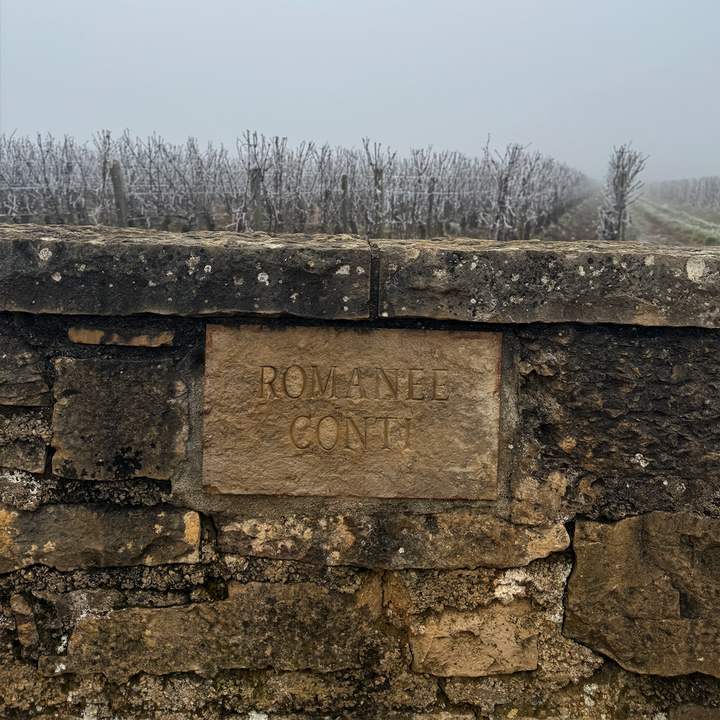 Romanee-Conti Grand Cru Monopol Burgund
