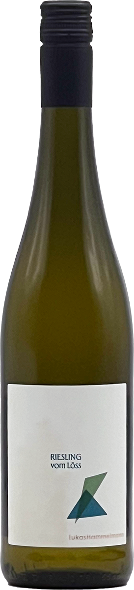 Lukas Hammelmann Riesling vom Löss 2024 Weißwein Pfalz