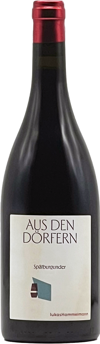 Lukas Hammelmann Spätburgunder Hochstadt 2024 Aus den Dörfern Rotwein Pfalz Pinot Noir
