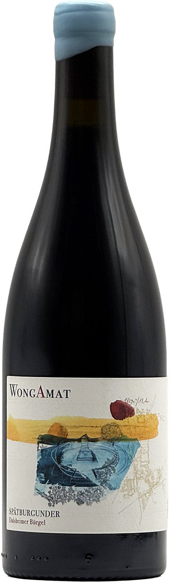 Dalsheimer Bürgel Spätburgunder 2022