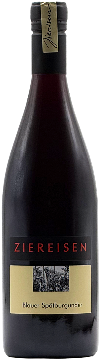 Blauer Spätburgunder 2023