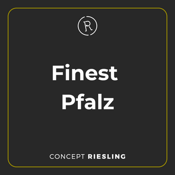 Finest Pfalz Tasting (21. November 2025) - Concept Riesling