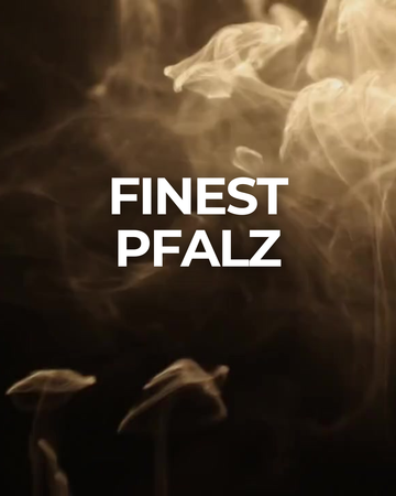 Finest Pfalz Tasting (14. November 2026)