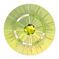 UNBetreutes Trinken - flexibles Carlsplatz Tasting