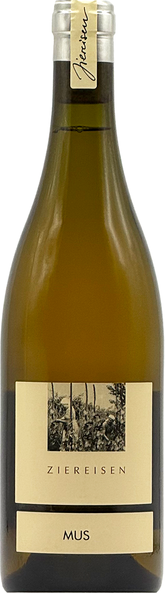 MUS Grauer Burgunder 2022